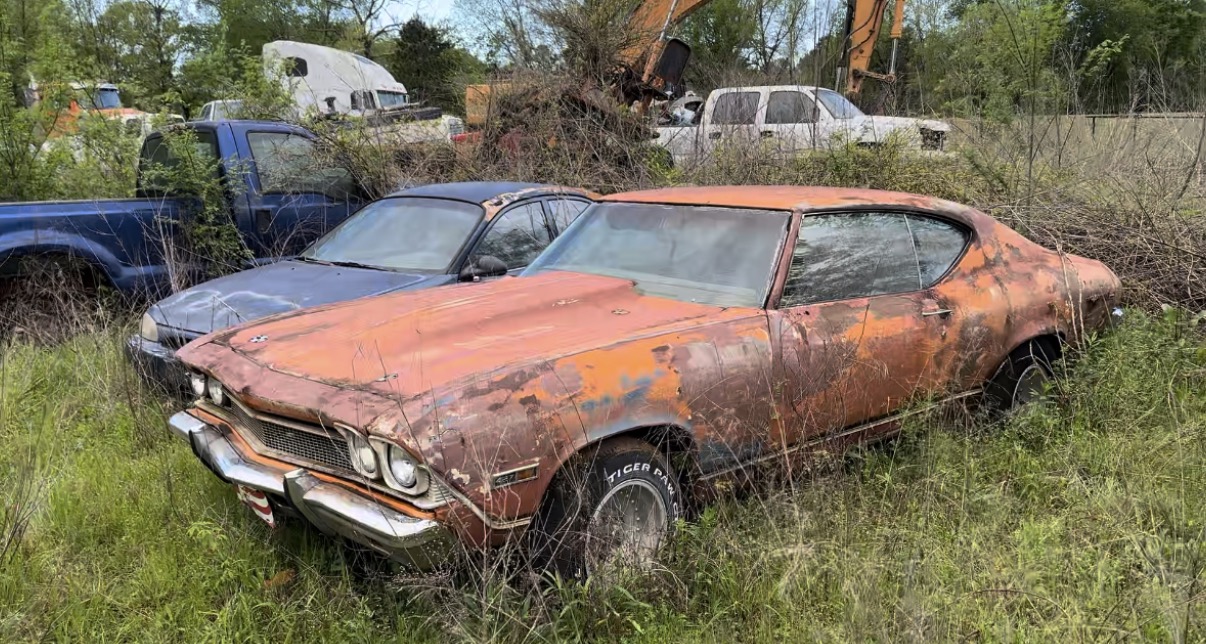 The actual weathered 1969 Chevelle sitting in tall grass waiting to be rescued